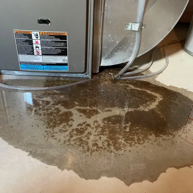 Appliance Leak Cleanup in Bedford County, PA